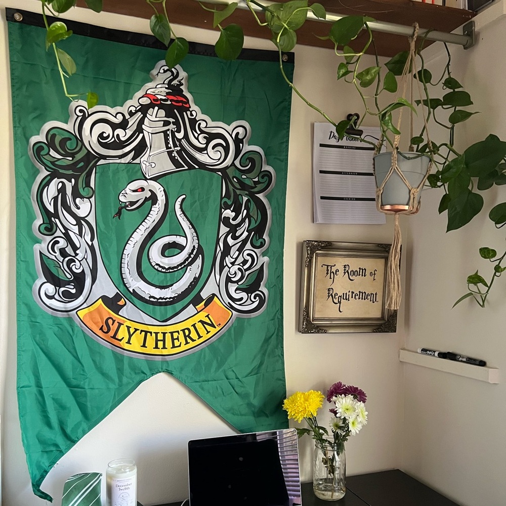 Slytherin Banner